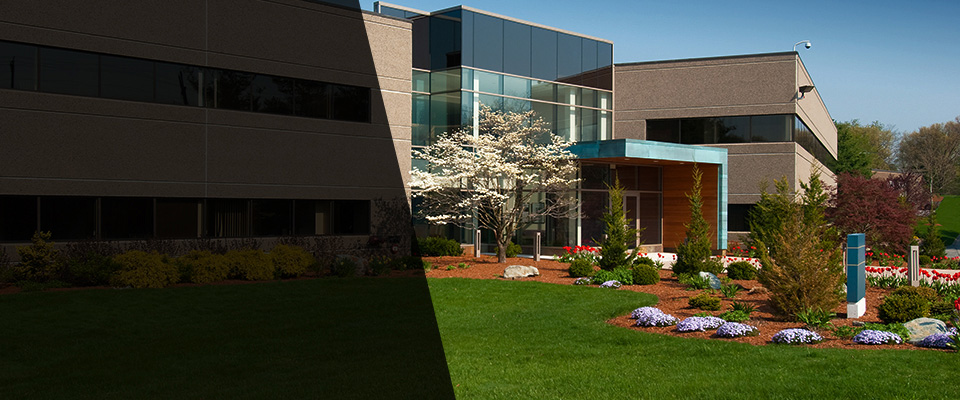 Lake Zurich Landscapers