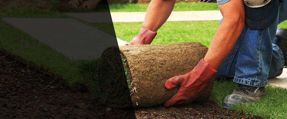 Lake Zurich Landscapers